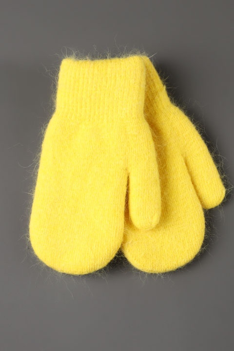 Catalog Image