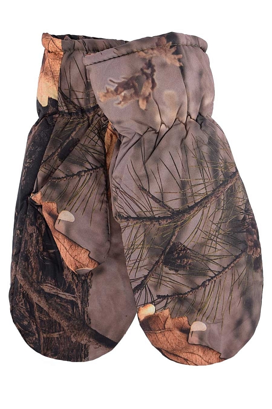 Catalog Image
